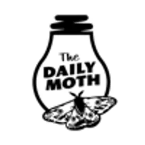 The Daily Moth