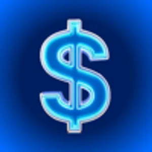 VANSi - Cash Advance