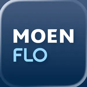 Moen Flo